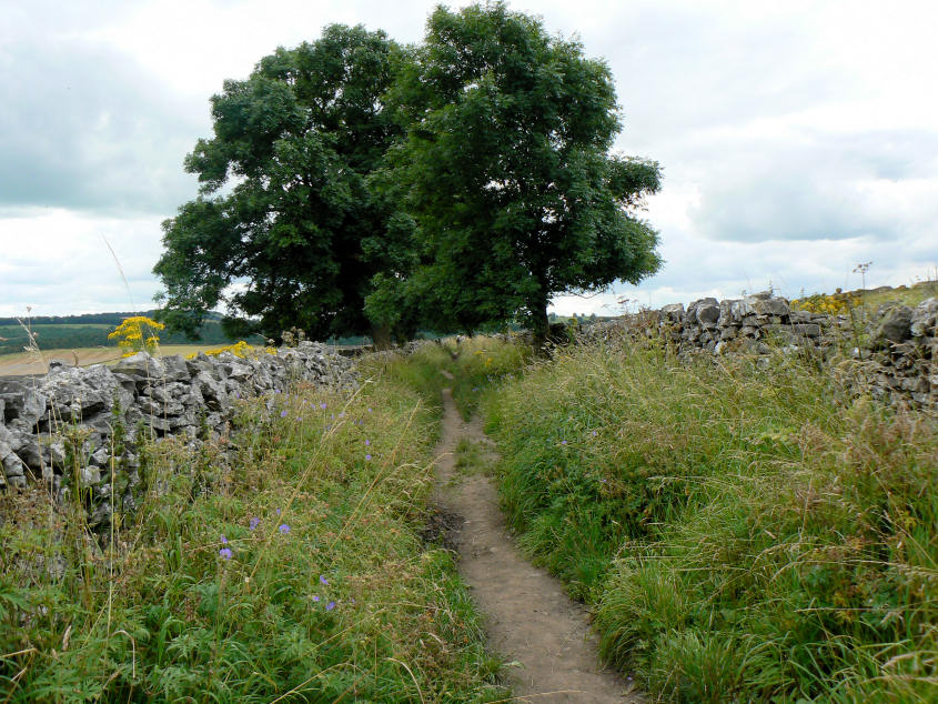 Pennyunk Lane Pennyunk Lane